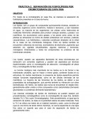 PRÁCTICA 2: SEPARACIÓN DE FOSFOLÍPIDOS POR CROMATOGRAFIA DE CAPA FINA