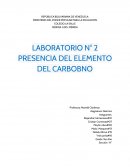 Quimica.LABORATORIO N° 2 PRESENCIA DEL ELEMENTO DEL CARBONO