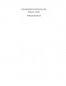 Actividad de aplicación de español