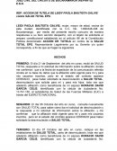 Apuntes de accion de tutela