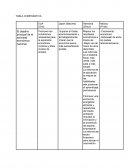 TABLA COMPARATIVA Japón (Maxime) Alemania (Zhour) México (Frida)