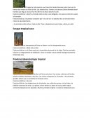 Bosque tropical lluvioso y seco