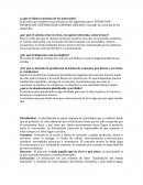 ¿a que se llama economía de los materiales?