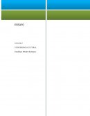 ¿Hacia dónde se dirige la certificación ISO 14000?