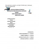 DEFINA Y EXPLIQUE EL PROCESADOR DE TEXTO EN EL SISTEMA OPERATIVO WINDOWS Y SISTEMA OPERAIVO CANAIMA.