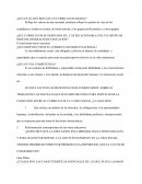 ¿Que es lo que refleja un curriculum basico?