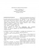 DIGESTIÓN EN ANIMALES POLIGÁSTRICOS