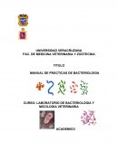 Manual de prácticas de Bacteriologia