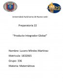 Matematicas Producto Integrador Global