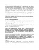 CARBOHIDRATOS la principal fuente de energía