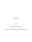 EJEMPLOS ACTAS SOCIEDAD LIMITADA