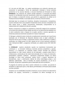 El 5 de junio de 1995 llega a la capital santandereana una institución educativa