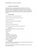 Unidad didáctica: vivir cantar, saltar bailar