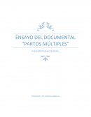 ENSAYO DEL DOCUMENTAL PARTOS MÚLTIPLES