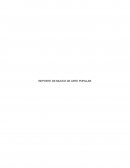 REPORTE DEl MUCEO DE ARTE POPULAR