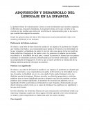 Adquisición y desarrollo del lenguaje en la infancia