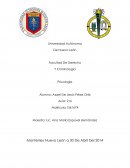 Trabajo acerca de la Película Cuidad De Dios