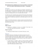 Determinación de las condiciones de servicio en la cafetería “Café Limón”