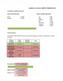 NOMBRE DEL PROYECTO: MIKE’S FAMILIES GYM