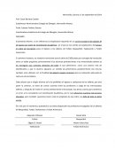 Talleres de futbol, basquetbol, taekwondo y futbol americano