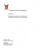 Laboratorio de Fisica - Cinemática de la partícula en una dimensión