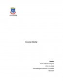 EXAMEN MENTAL.Psicopatología de la Niñez y la Adultez