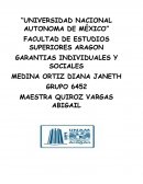 GARANTIAS INDIVIDUALES Y SOCIALES. СIUDAD DE MÉXICO