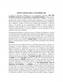 Disputa De Palestina (Ensayo)