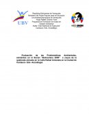 Evaluación de las Problemáticas Ambientales, existentes en el Sector “Bolivariano 2000” a causa de la quebrada ubicada en la Calle Rafael Urdaneta en la Ciudad de Cantaura- Edo- Anzoátegui