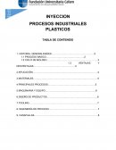 NYECCION - PROCESOS INDUSTRIALES PLASTICOS