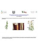 CAPACITACION Y ASISTENCIA TECNICA PARA EL PROCESO PRODUCTIVO DEL CULTIVO DE MAIZ