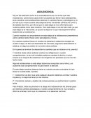 Adolescencia uno de los temas de más importancia y controversia