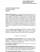 MODELO DE DEMANDA CIVIL