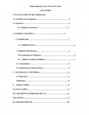 Industrialización de la Penca de la Tuna