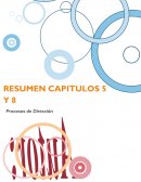 RESUMEN LOS OBJETIVOS A LARGO PLAZO