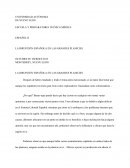 LA IRRUPCIÓN ESPAÑOLA EN LAS GRANDES PLANICIES