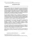 PROYECTO COLECTIVO ESCOLAR