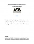 Tasa de Concepción y Tamaño de la camada en cerdas multíparas después de la inseminación intrauterina