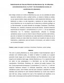 Determinación de Tasa de Filtración de Brachionus Sp. En diferentes concentraciones de (2, 4 y 6 ml/ l-1) de Scenedesmus acutus, en condiciones de Laboratorio