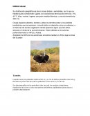 AVESTRUZ Hábitat natural