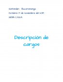 Aspectos positivos y negativos de la descripción de cargos