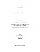 IDENTIFICACIÓN DE NECESIDADES INSATISFECHAS A NIVEL SOCIAL