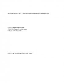 Calidad de datos Proceso de calidad de datos y perfilado de datos con herramientas de software libre. Página 1