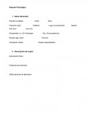 Reporte Psicologico. Datos Generales