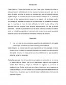 Haz una lista de cinco problemas específicos de administración del capital humano que consideras que Carter Cleaning podría enfrentar