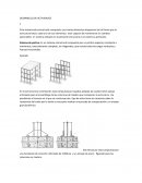 Desarrollo de actividades de arquitectura