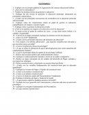 El sistema educacional chileno.