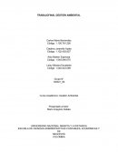 Trabajo final gestion ambiental