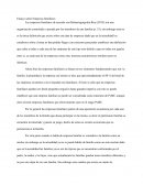 Ensayo sobre Empresas familiares