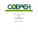 Proyecto integrador: EXTREME CLEAN